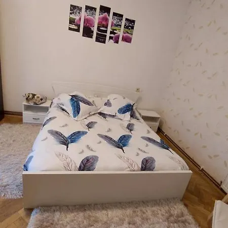 Апартаменти Diana House Брашов