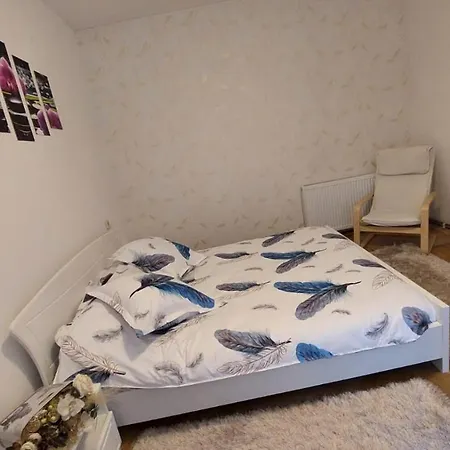 Апартаменти Diana House Брашов