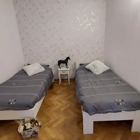Diana House Брашов